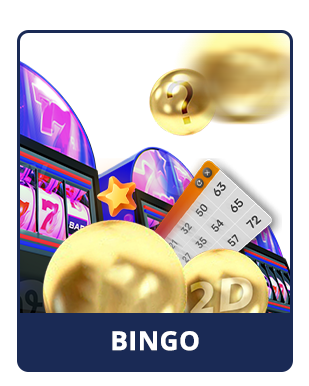BINGO-ID