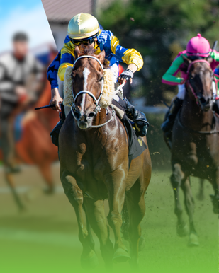 Online horse racing betting on white-label iGaming platform